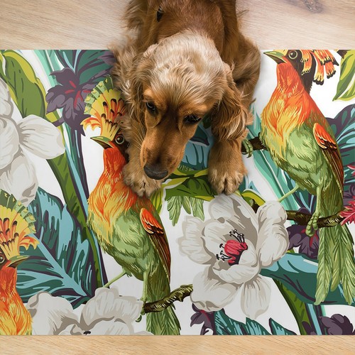 Cuccia per cani - cani,