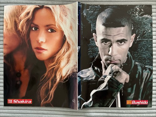 Shakira bushido a4 - a4, poster