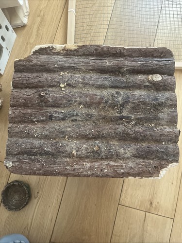 Stampo legno per piccoli - in,