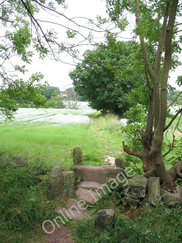 Photo 12x8 between rural and - photo,