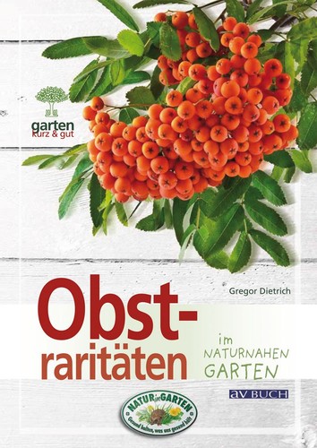 Ostrarità nel giardino - ostrarità:,
