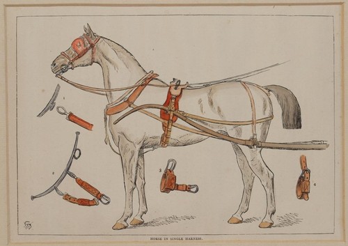 Horse single harness - in,