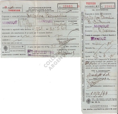 Autorizzazione macellazione - autorizzazione,