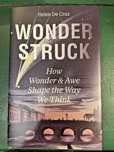 Wonderstruck 9780691232126 - wonderstruck,