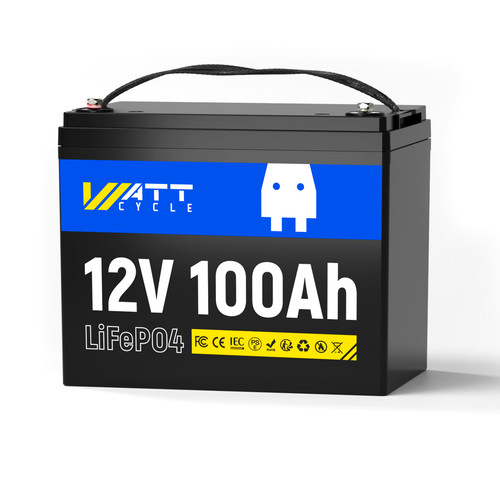 Batteria lifepo4 12v - lifepo4,