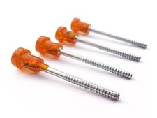  4 Vite Lunga Testa in