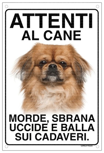 Pechinese attenti cane - pechinese,