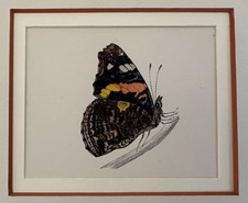 FARFALLE CROMOLITOGRAFIA