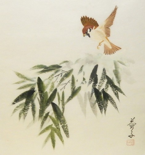 Masuko nakafuji uccellino - masuko,