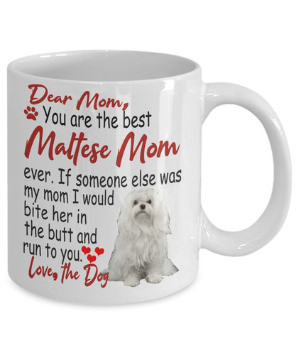 Maltese cane canis - maltese,,