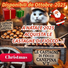 4_KG CASTAGNE OFFERTA  FRESCHE   2025  CALIBRO MEDIO_PICCOLO 🌟 OFFERTA 🌟
