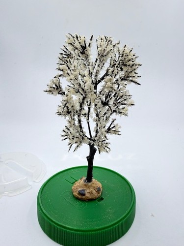 Albero biancospino lemax - albero, di