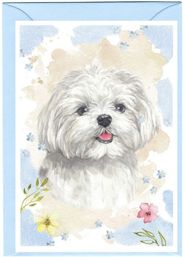 Carta vuota cane - , (4"x
