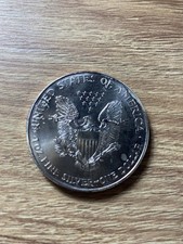 (17) 1 Dollaro Moneta American