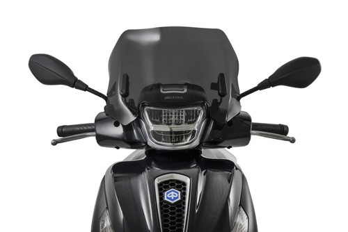 Cupolino fumè scuro con
