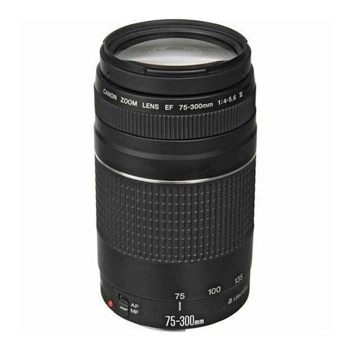 Canon 300mm 5 - canon, ef