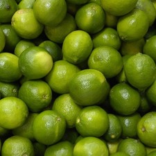 PIANTA DI LIMONE VERDELLO in