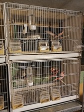 4 Gabbie Cova 2gr Da 58 Cm Componibili 