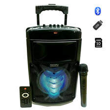 Cassa Amplificata Karaoke