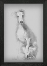 Quadro Stampa su Tela Poster