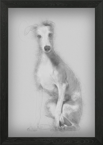 Quadro stampa tela - su, poster