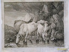 original print COWS, COWS