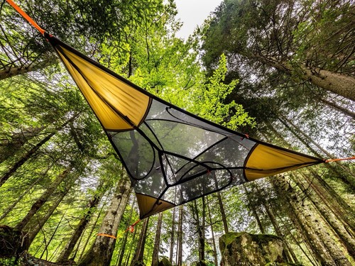 Tenda albero per - ad, 3