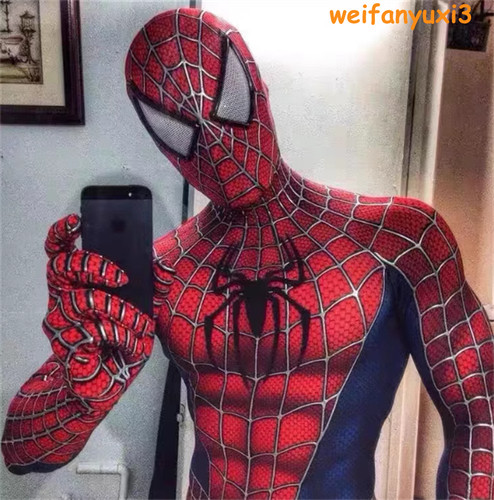 Costume classico spider - costume,