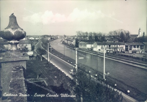 M526 cartolina castano - m526,