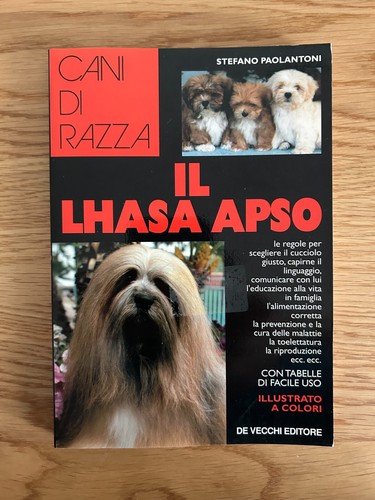 Lhasa apso stefano - apso, di