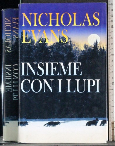 Insieme con lupi - insieme, i