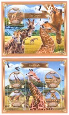 Lollini A61 Madagascar 2022