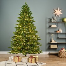 Albero di Natale Everland Galloway h 240cm (diam 150cm) preilluminato 5400 led