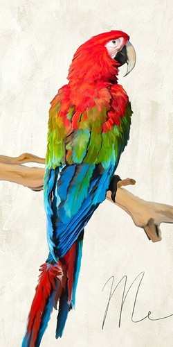 Quadro animale uccello - animale,