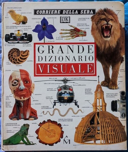 Libro grande dizionario - libro,
