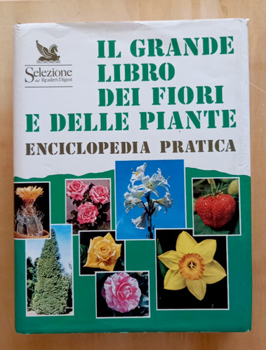 Enciclopedia grande libro - enciclopedia,