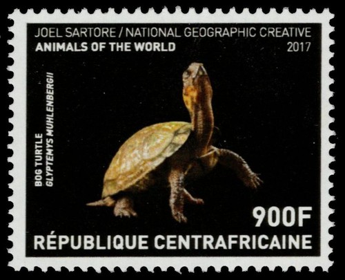 Repubblica centrafricana 7381 - repubblica,