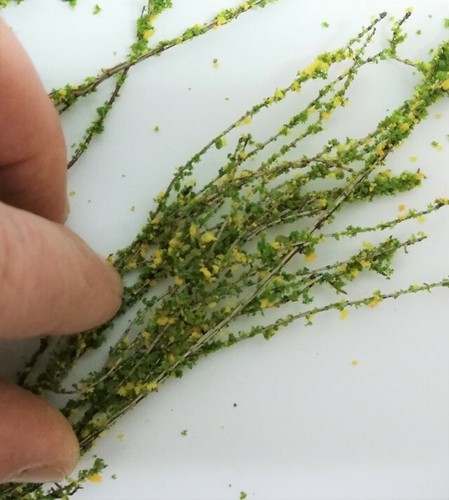 Accessori diorama vegetazione - accessori,
