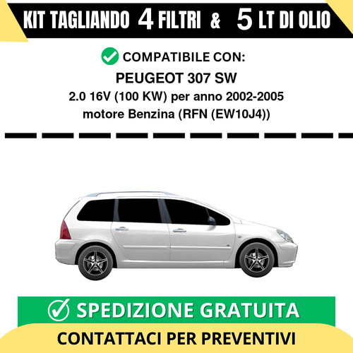 Tagliando per peugeot 307 - tagliando,