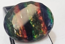 Ammolite doppia biologica