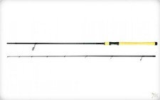 CANNA SPINNING FAVORITE