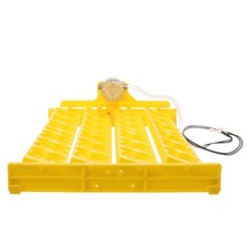  Incubatrice Automatica