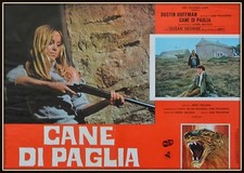 fotobusta  CANE DI PAGLIA DUSTIN HOFFMAN SAM PECKINPAH SUSAN GEORGE