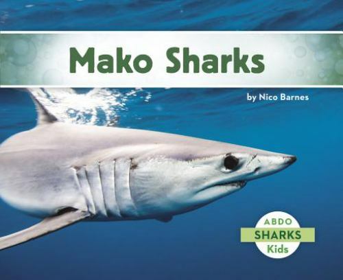 Mako sharks - mako,