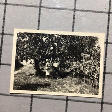 Amelia,Terni,giardino,coppia,C