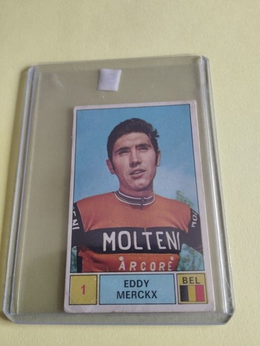 Eddy merckx - eddy,