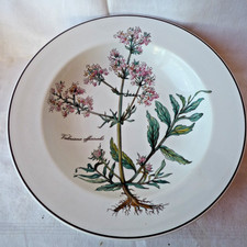 Piatto zuppiera Villeroy &