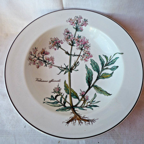 Piatto zuppiera villeroy - zuppiera, &