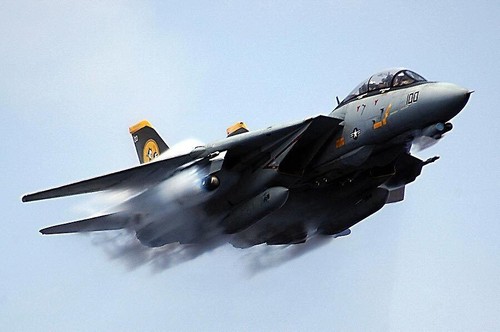 Grumman tomcat air force - grumman,