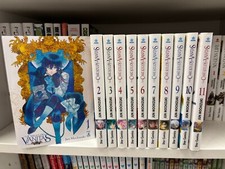 THE CASE STUDY OF VANITAS -